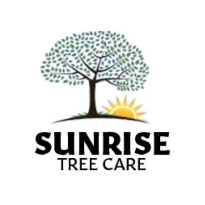 Sunrise Tree Care LLC logo circle