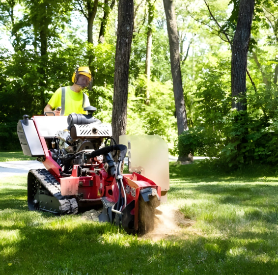 Land Clearing Services