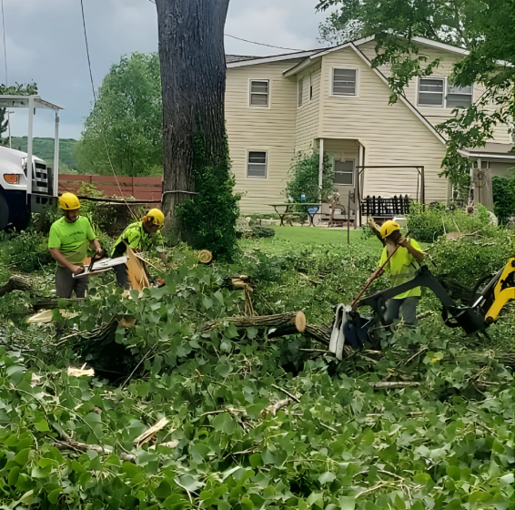 Storm Cleanup Services